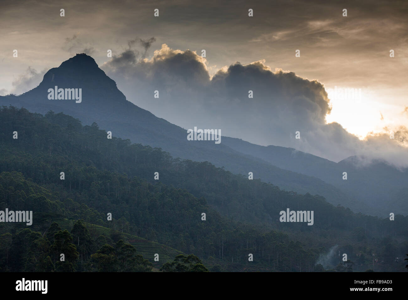 Amazing view of Adam's Peak (Sri Pada) in Sri Lanka, Asia Stock Photo ...