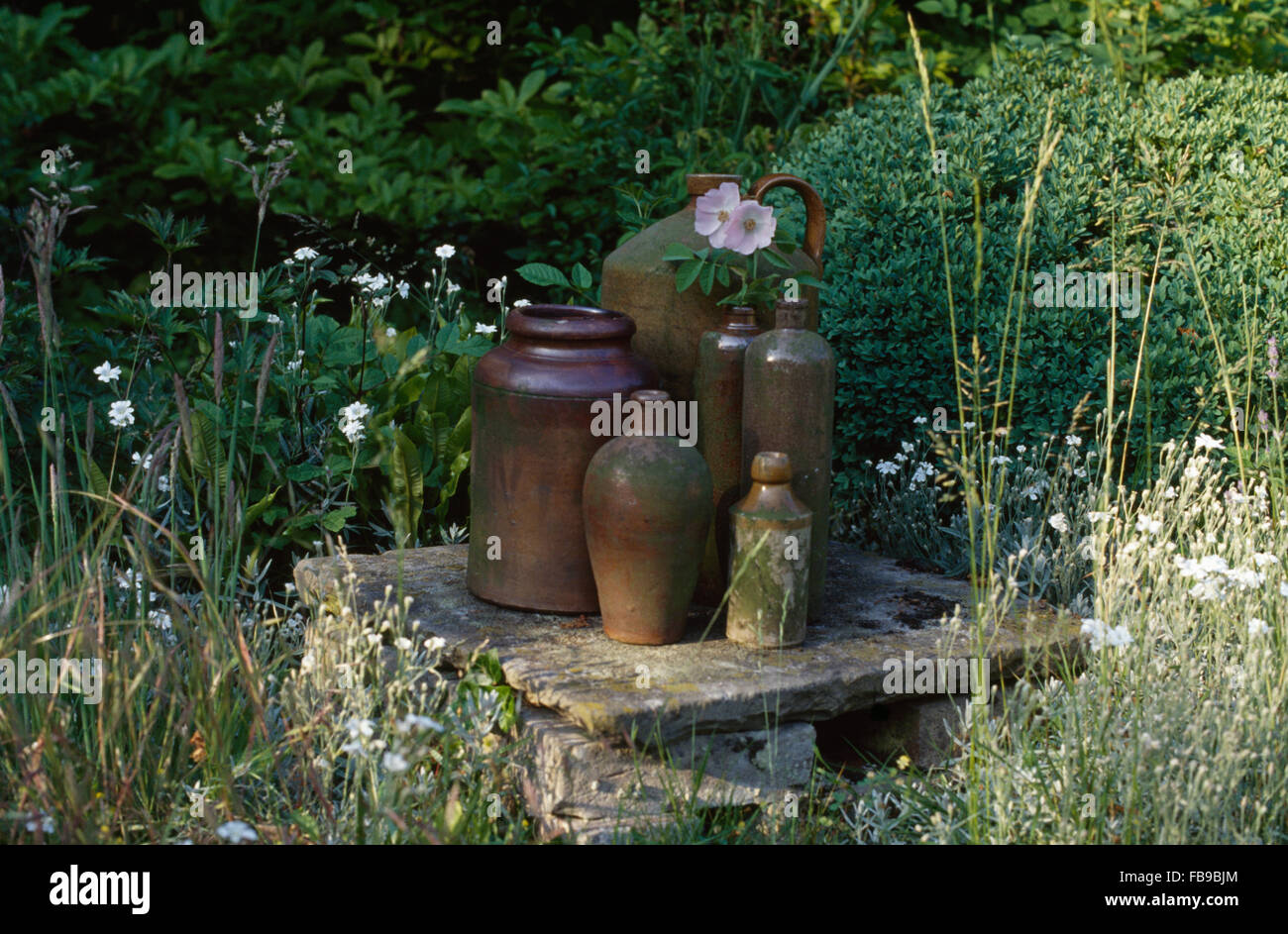 Collection of old brown earthenware jars on stone plinth in summer border Stock Photo