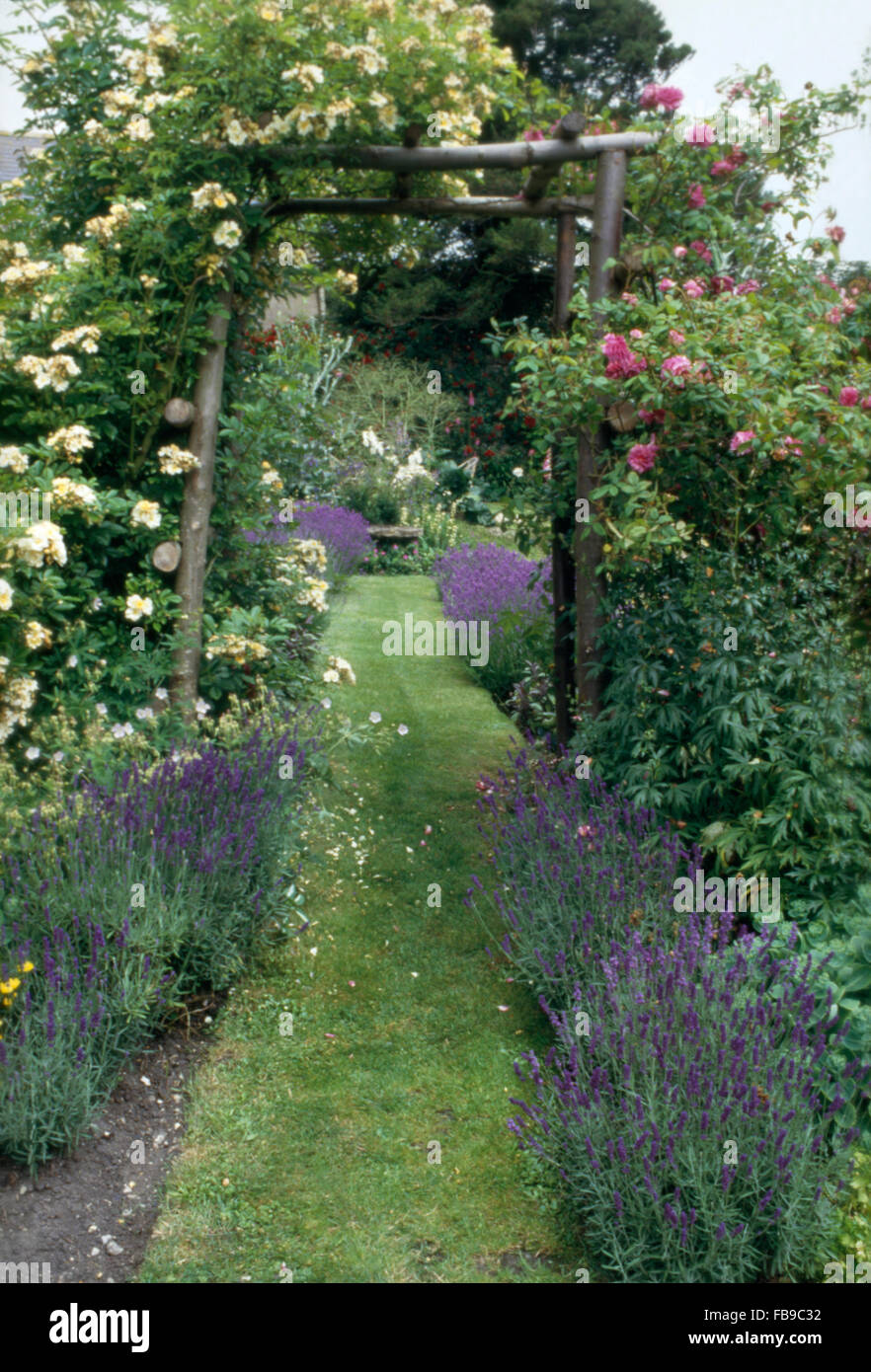 Cream and pink climbing roses on rustic wooden arch above grass path between lavender border in a large country garden in summer Stock Photo
