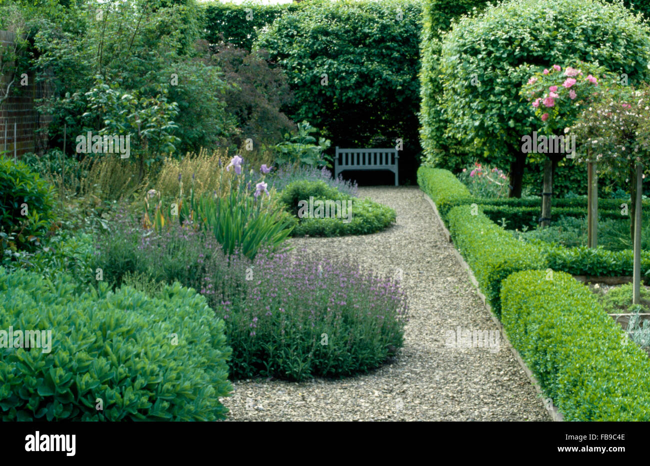 23 Best Edging Plants Best Plants For Walkway Borders, 54 OFF
