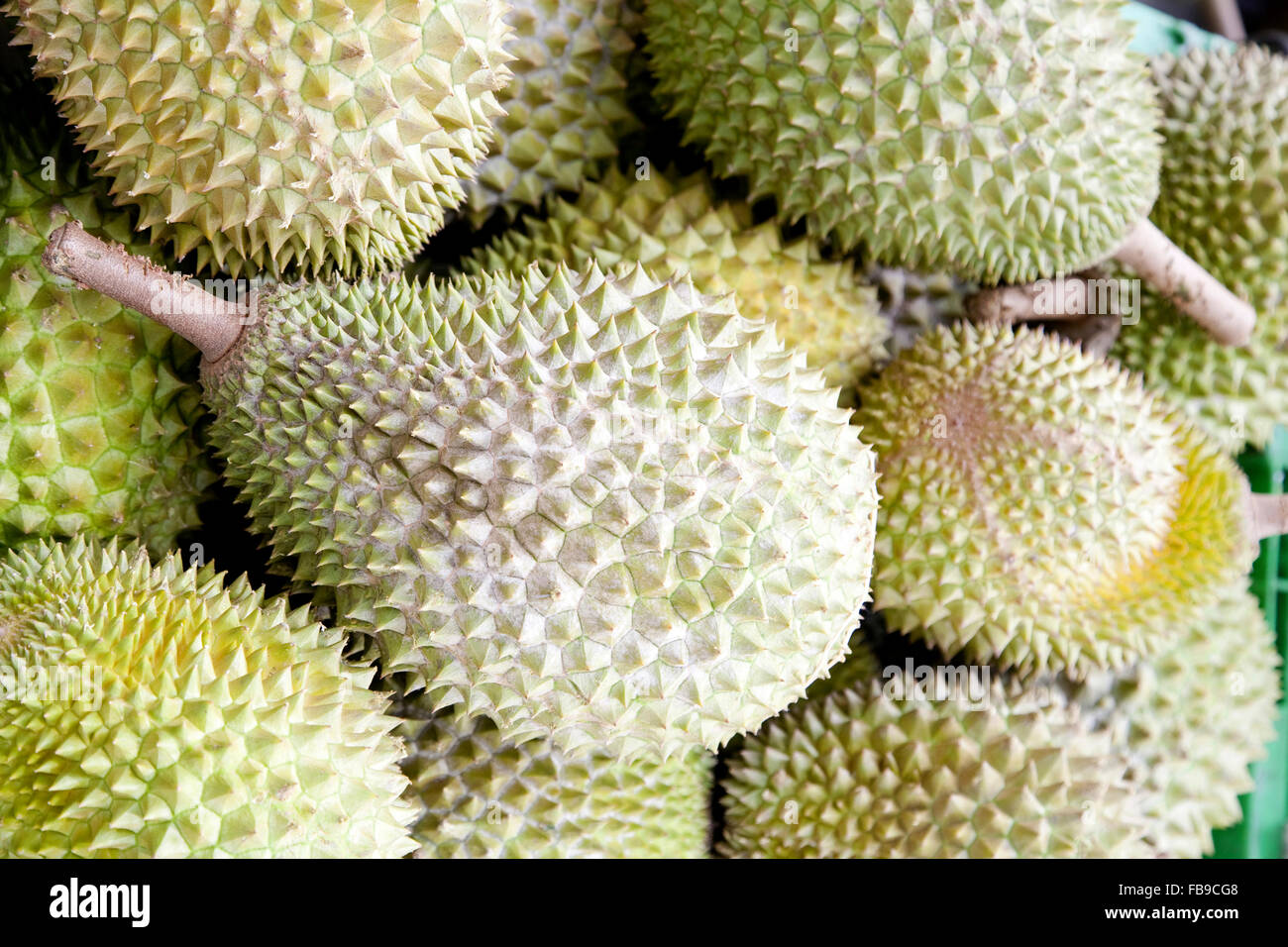 No durians hires stock photography and images Alamy