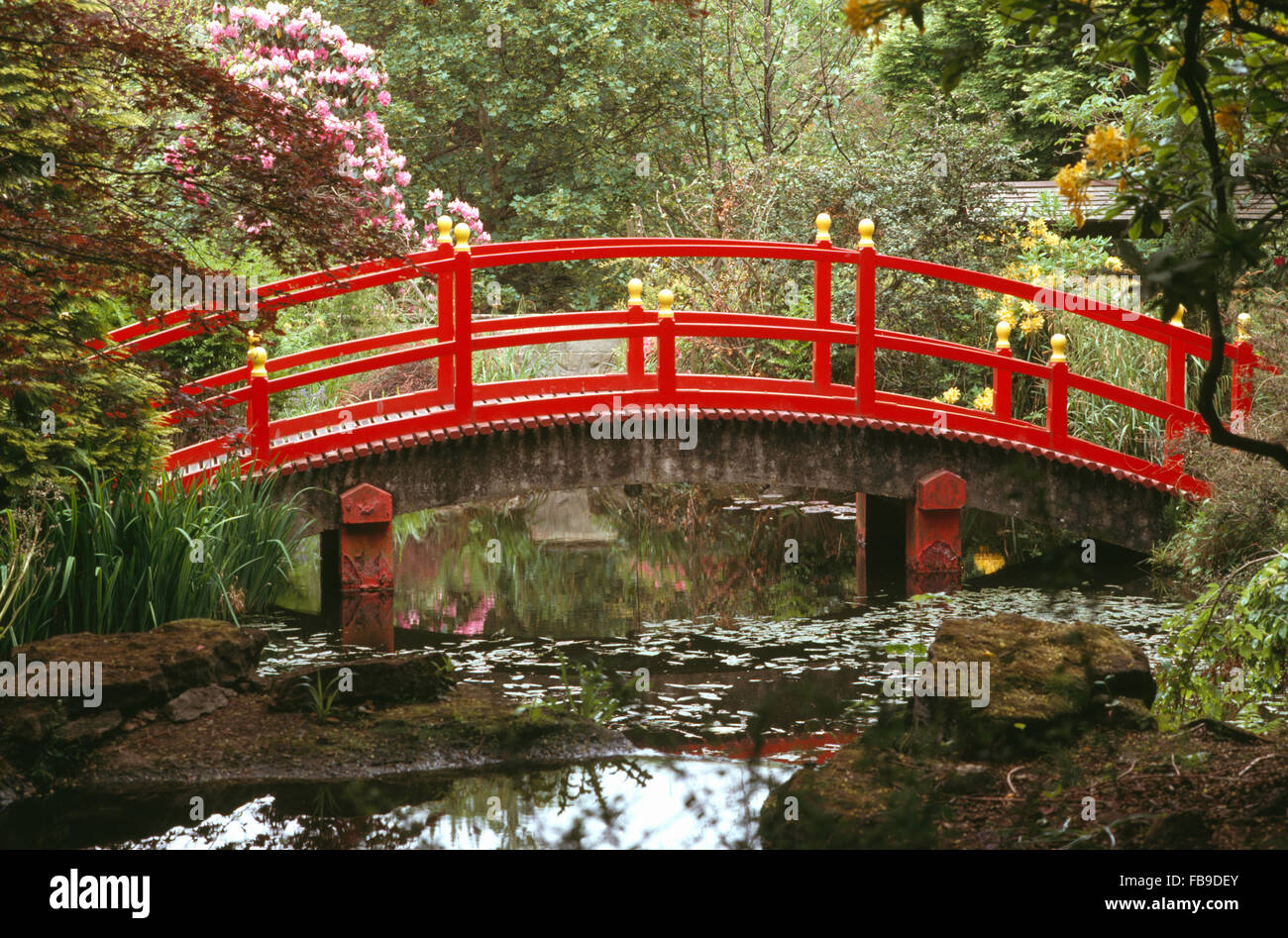 Red Japanese style bridge over stream in woodland in a large country garden in Spring Stock Photo