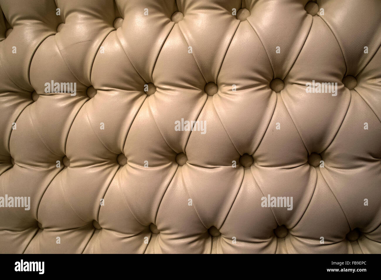 Leathercushioned seat Stock Photo Alamy