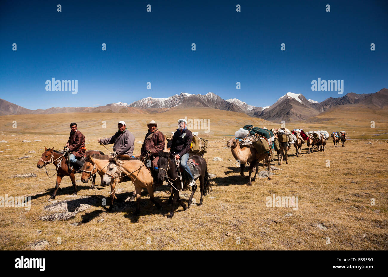 Four nomad guides (Hogshin, Kishgee, Idesh and Tsaganaa) lead a camel-train over the Kharkhiraa mountain pass, Mongolia. Stock Photo