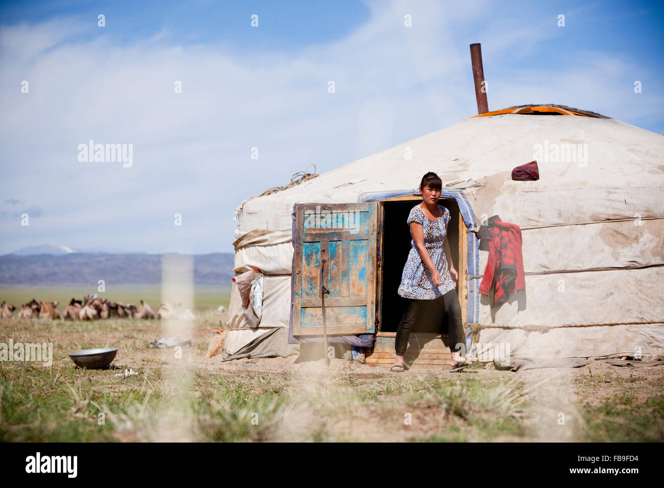 Girl emerges from nomad family ger, Mongolia Stock Photo - Alamy