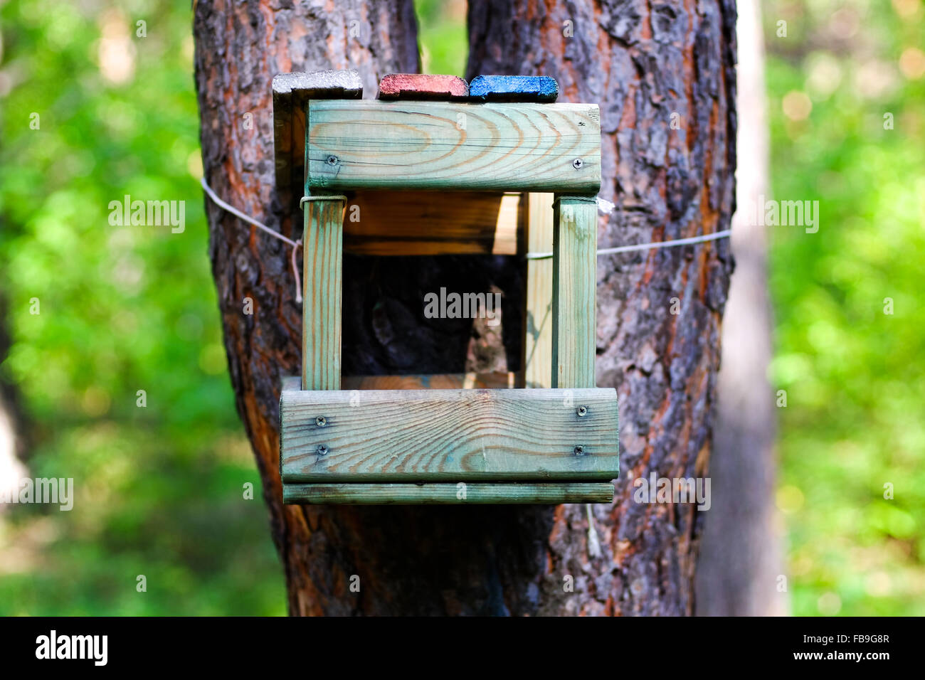 Wooden feeder for birds and squirrels on a pine tree Stock Photo