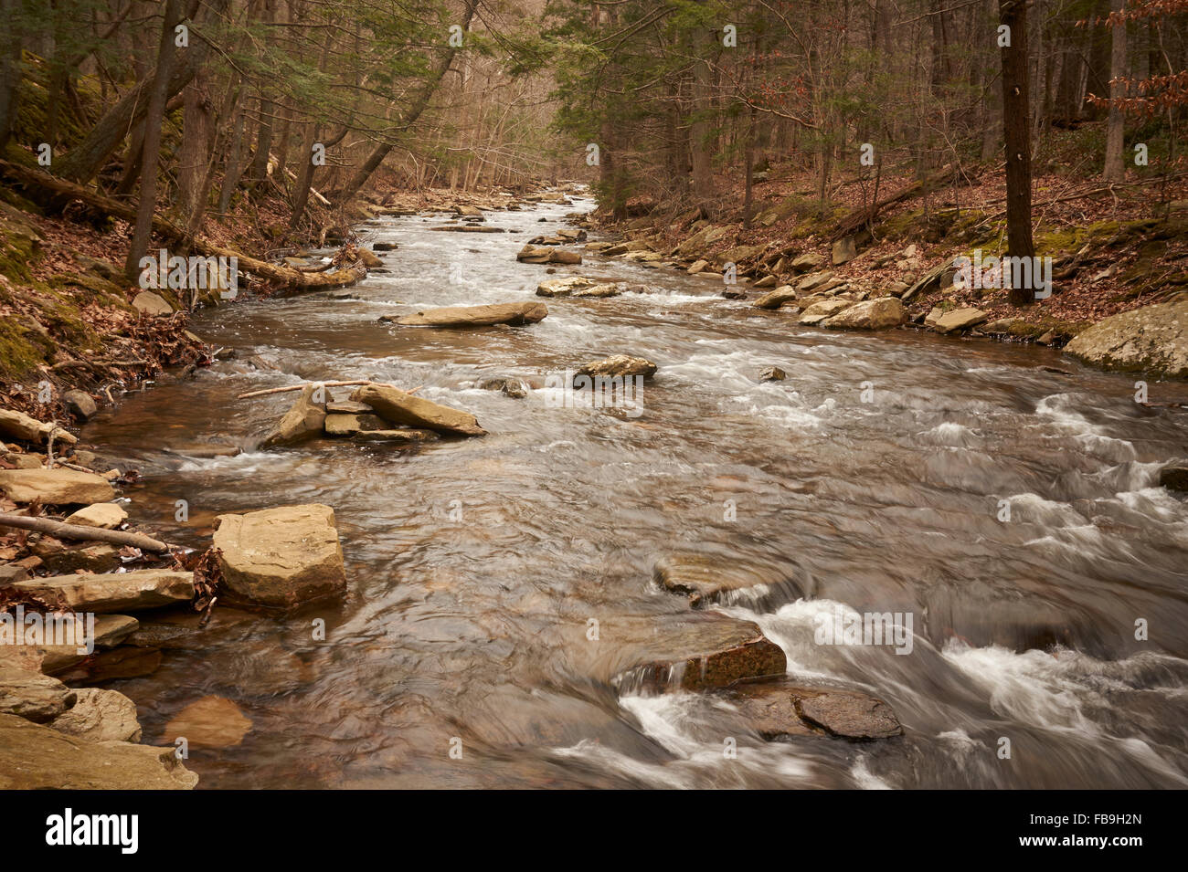 Maryland's Hidden Gem: Cunningham Falls State Park - Where Nature's Beauty Meets Adventure