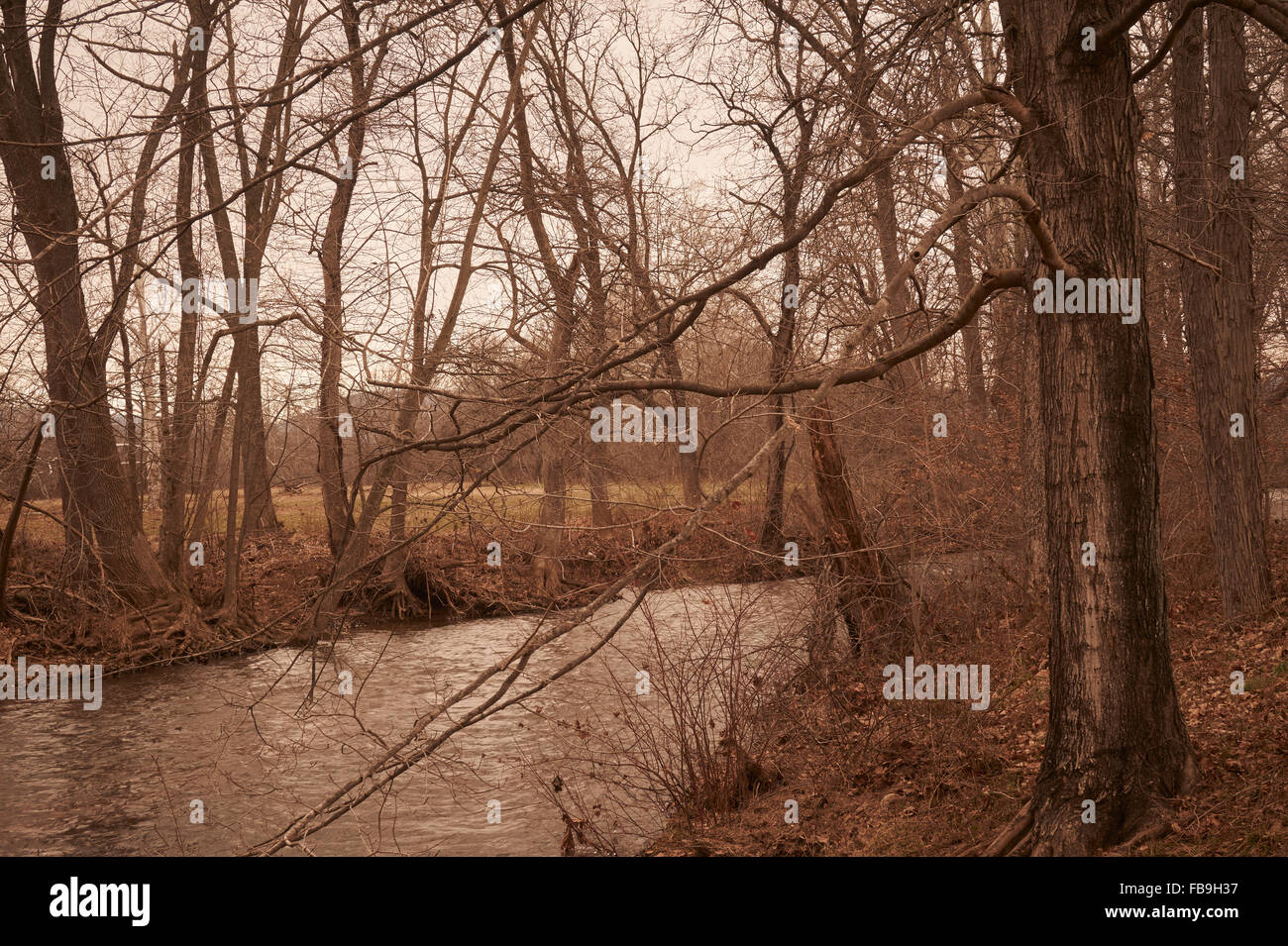 Thurmont hires stock photography and images Alamy