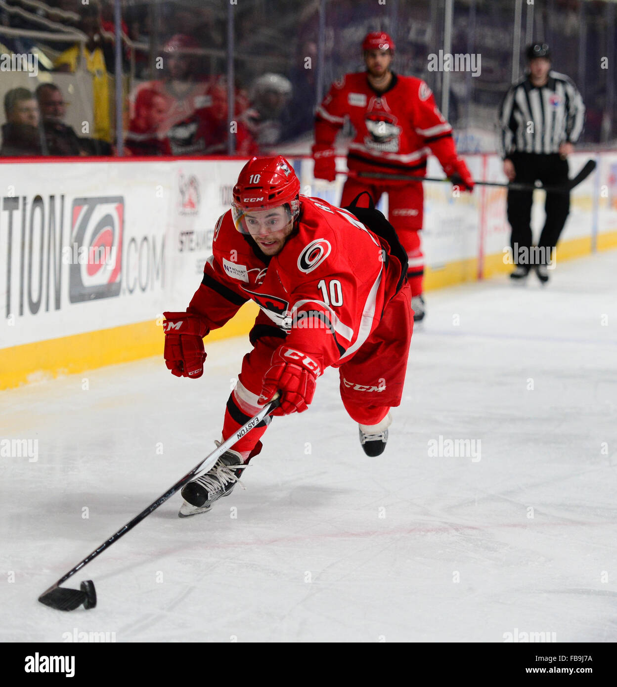 Charlotte Checkers C Derek Ryan (10) during the AHL game between the