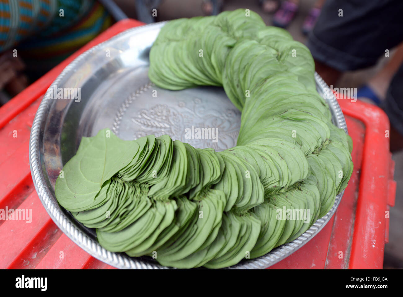 Betel leaves ready to be rolled in a paan vendor shop in Yangon. Stock Photo