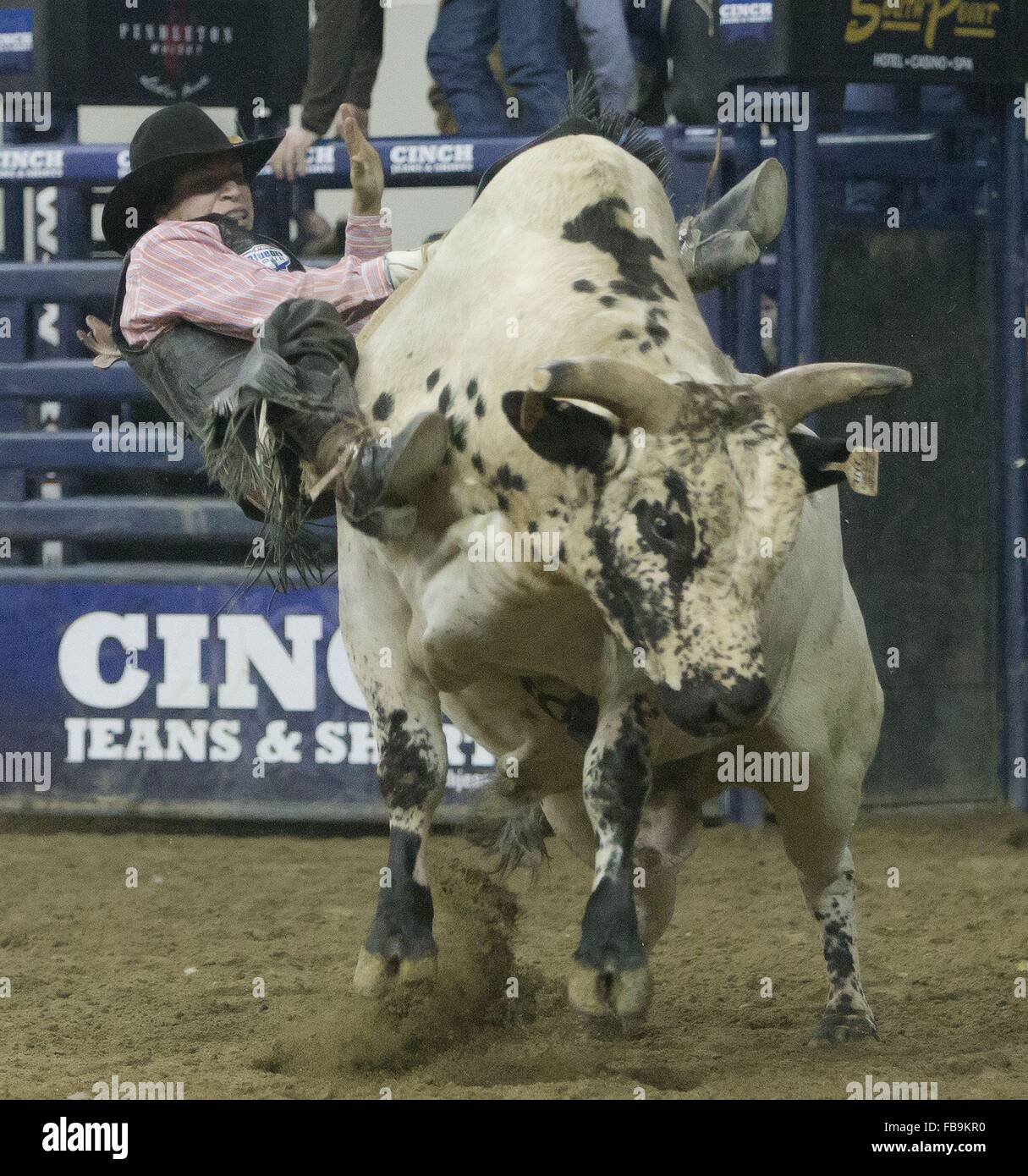 Denver, Colorado, USA. 12th Jan, 2016. Bull Rider ALEX GUZMAN, from ...