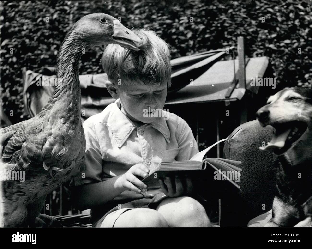 Graham Raper 1955 - Even A Goose Can Laugh At A Funny Story: When Seven-year-old ...