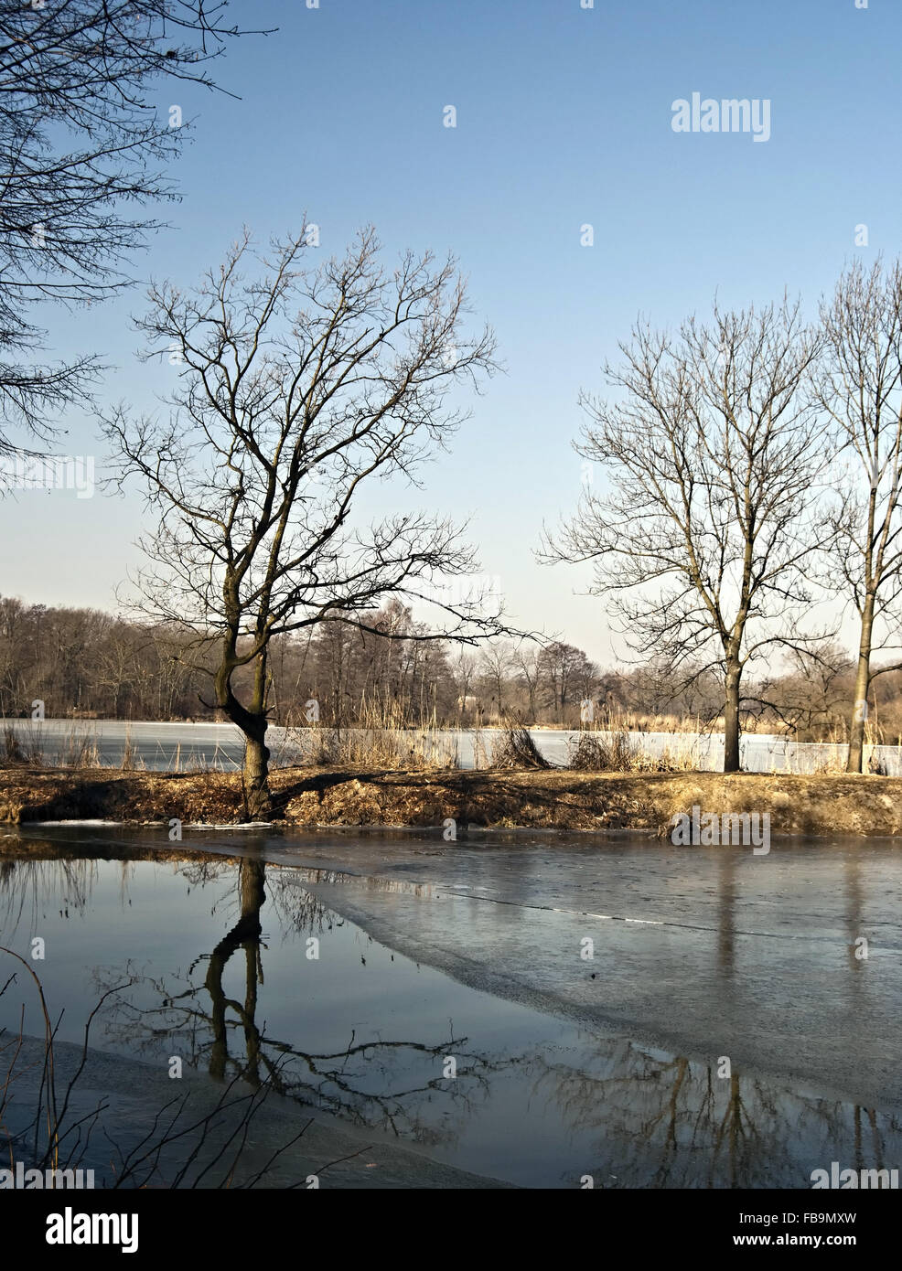 Partially icebound pond with trees reflection on water ground in CHKO Poodri near Jistebnik not far from Ostrava city with Stock Photo