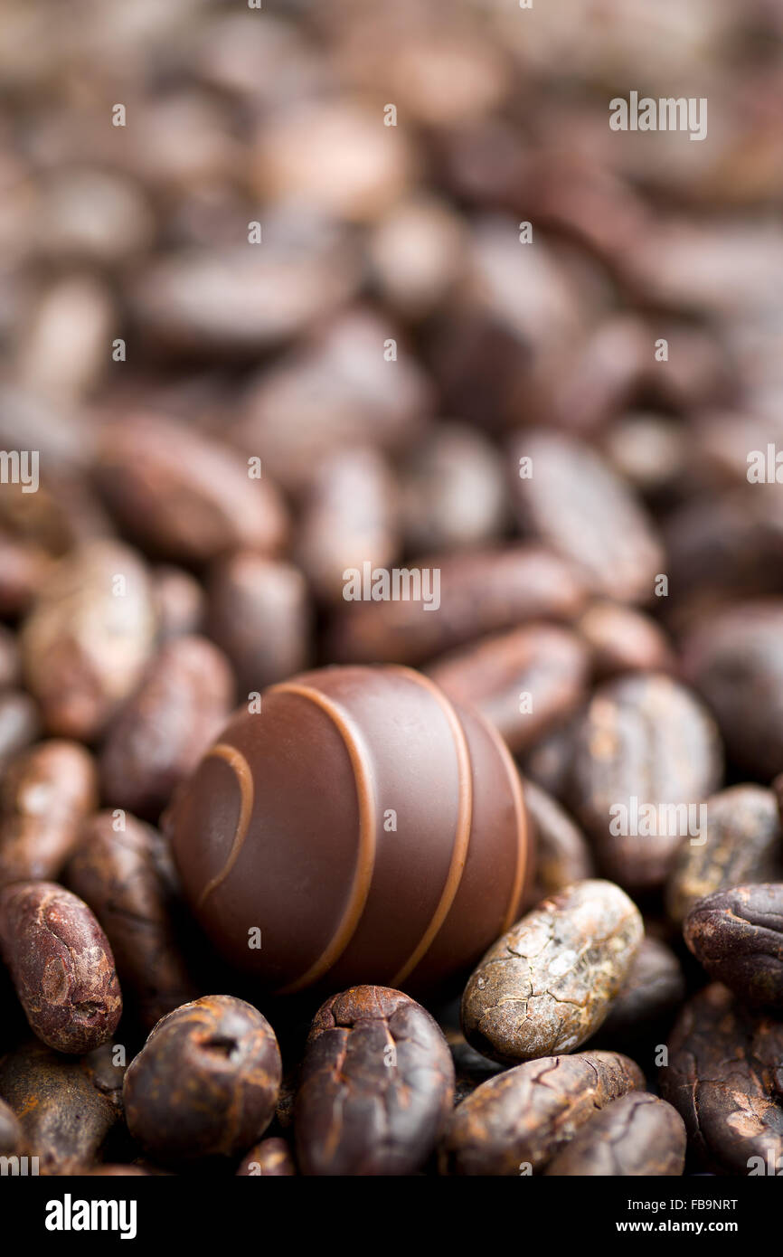 the chocolate praline and cocoa beans Stock Photo