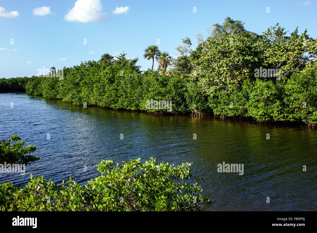 Fort Ft. Myers Beach Florida,Estero Bay water,Lovers Key Carl E. Johnson State Park,recreation area,water,nature,natural scenery,visitors travel trave Stock Photo