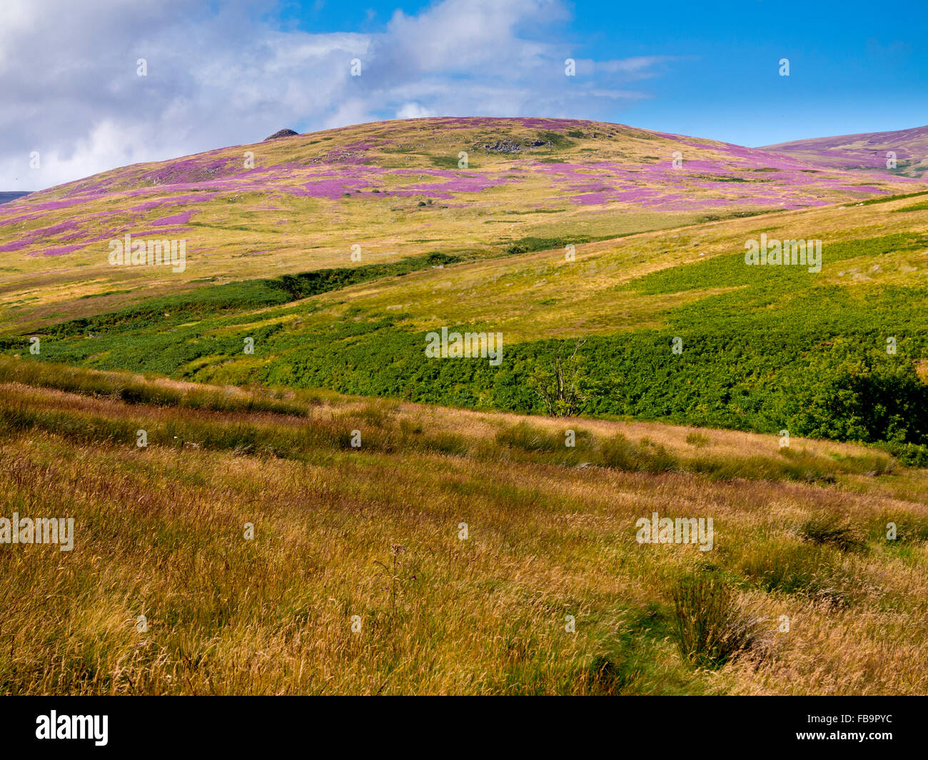 Northumberland national park hi-res stock photography and images - Alamy