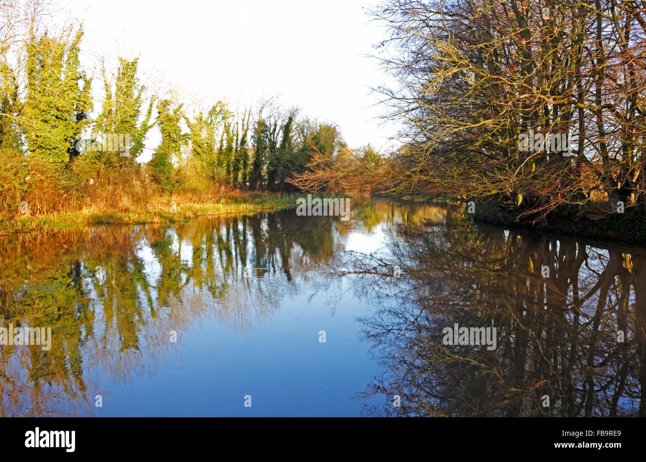 A view of the River Bure upstream of the site of the old watermill at Horstead, Norfolk, England, United Kingdom. Stock Photo