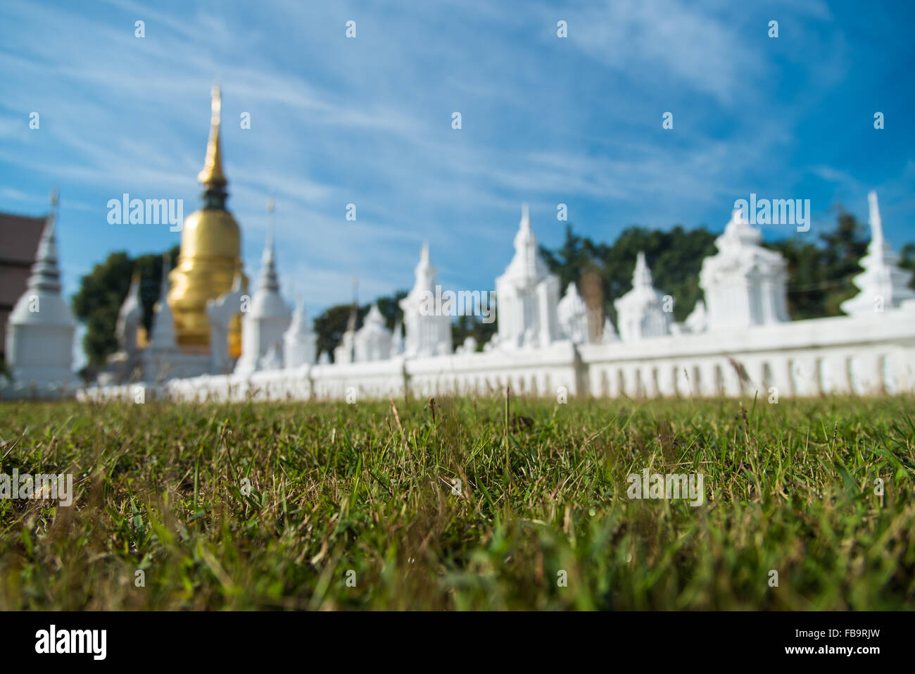 Grass with blur temple background Stock Photo - Alamy