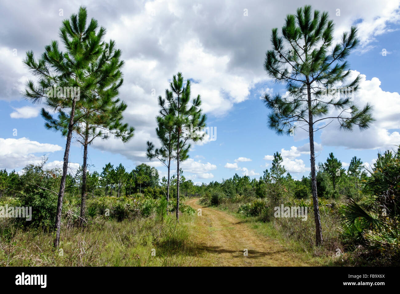 Little manatee river water state park hires stock photography and
