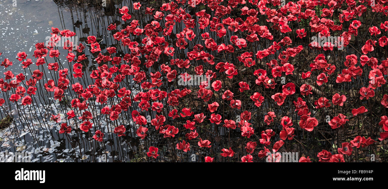 Bright Red Ceramic Poppy Sculpture The Wave at Yorkshire Sculpture Park Representing War Dead near Barnsley Yorkshire England UK Stock Photo