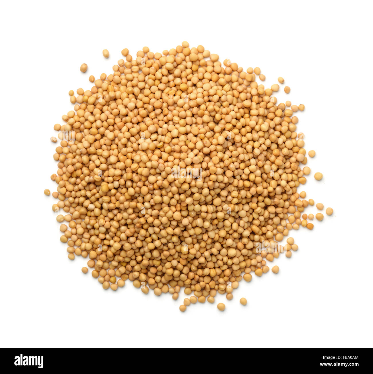 Top view of mustard seeds isolated on white Stock Photo