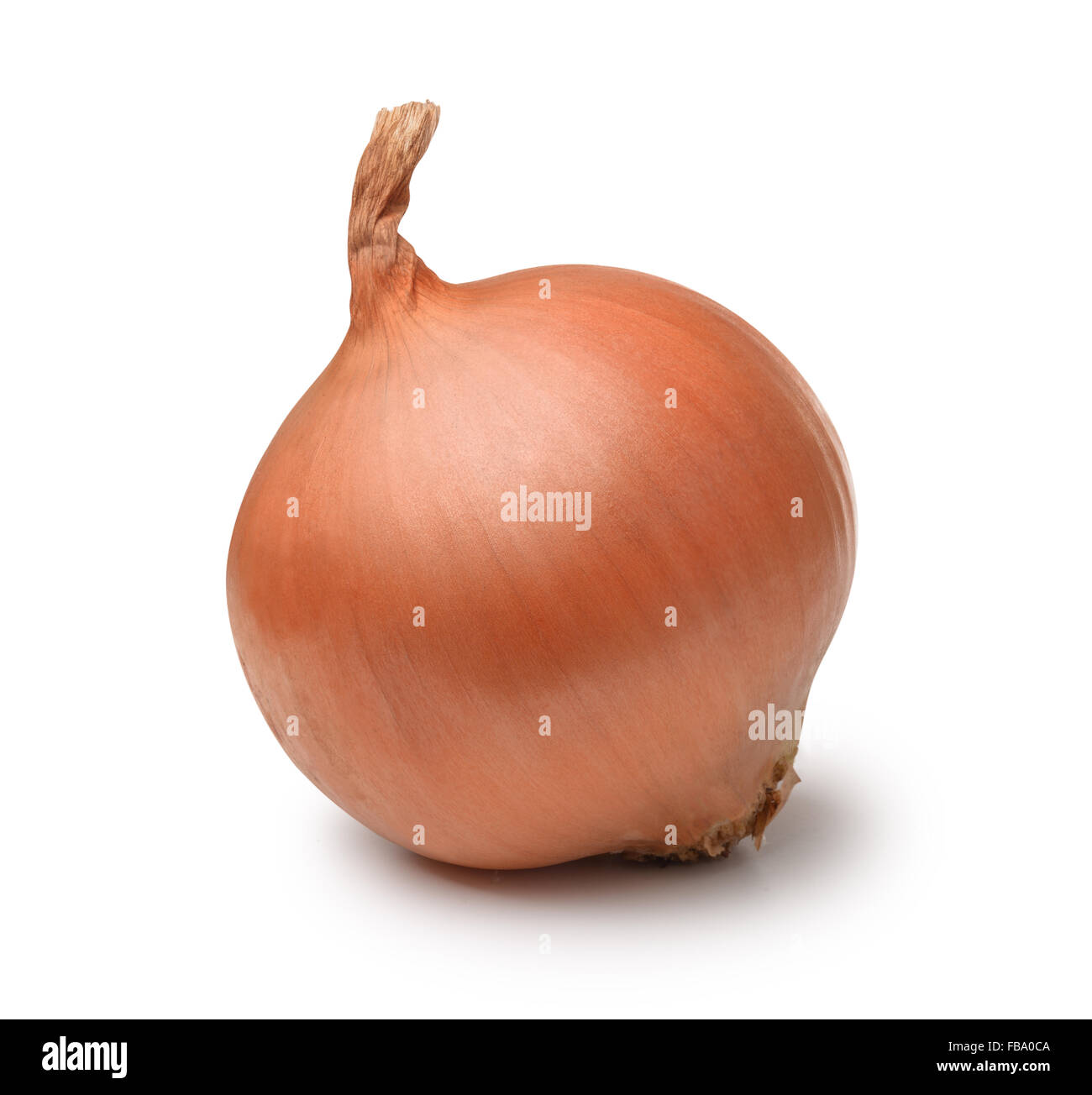 Ripe onion bulb isolated on white Stock Photo