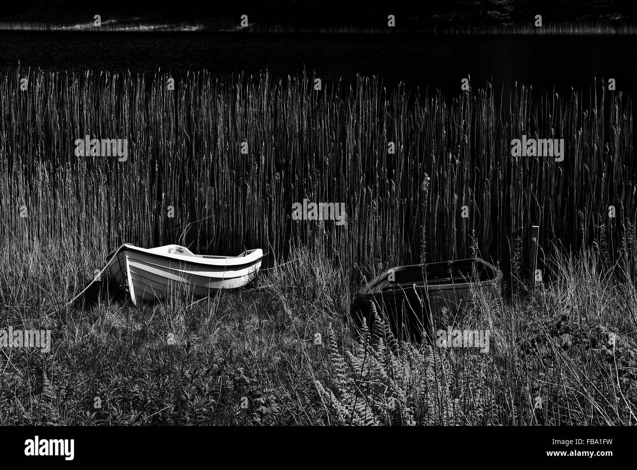 Beached rowing boat Black and White Stock Photos & Images - Alamy