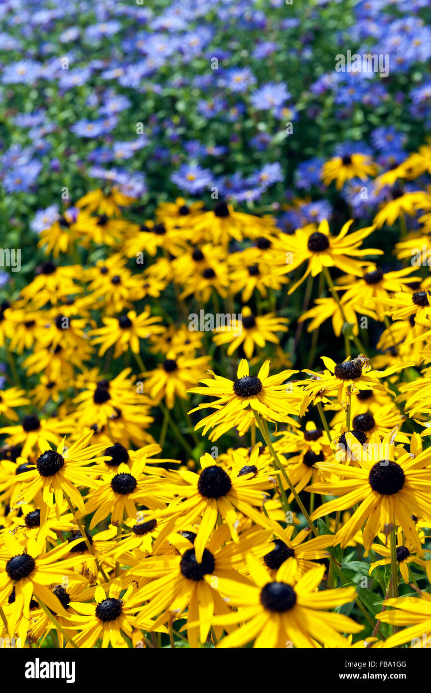 summer cottage garden flower boarder Stock Photo