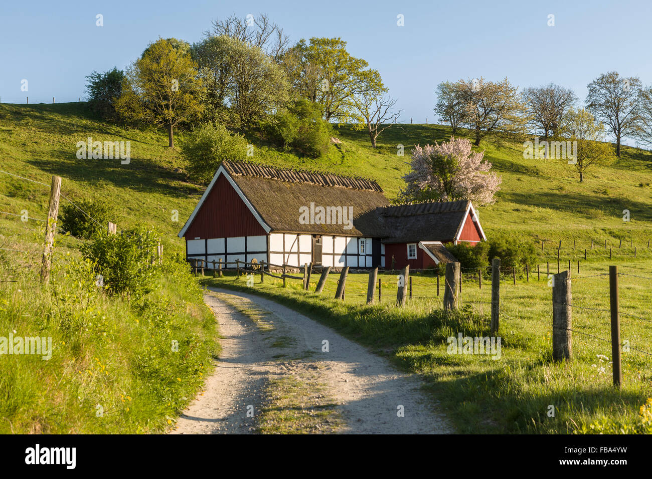 Cottage in pastoral countryside landscape in the south of Sweden. Skane / Scania, Scandinavia. Stock Photo