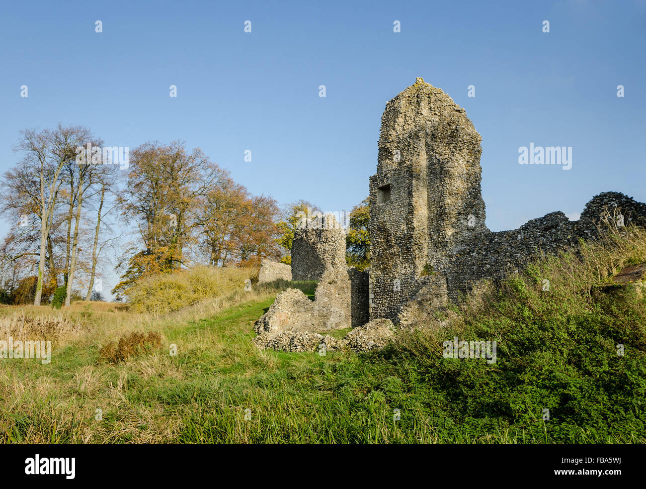 Ruins of the Berkhamsted Castle in Berkhamsted, Hertfordshire, England. Stock Photo
