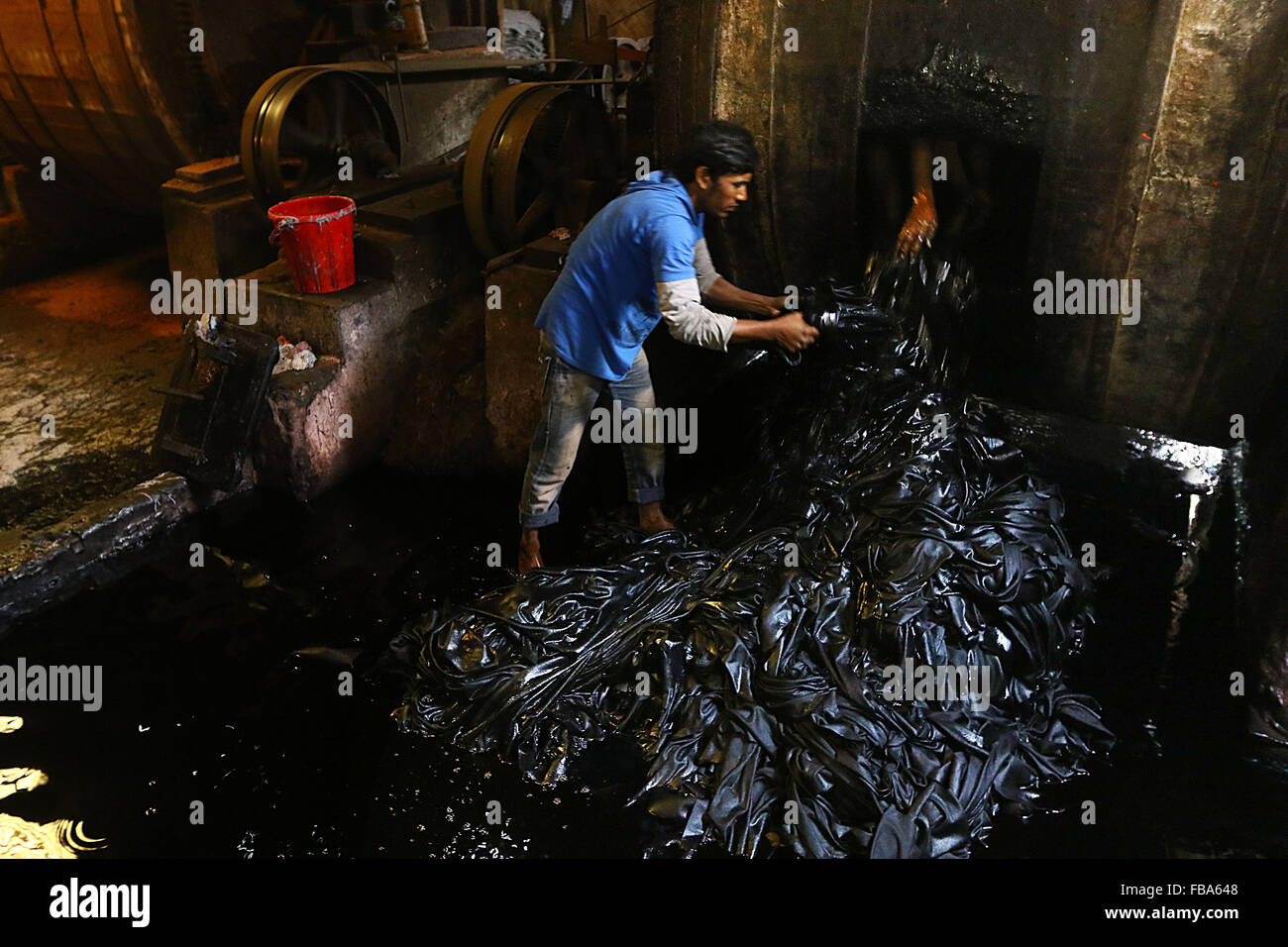 Dhaka 13 January 2016. Workers process animal skins in a Leather factory in Hazaribagh, Dhaka. Tanneries in the city's Hazaribagh area discharge 30000 square meters of liquid waste everyday. The tanneries discharge the effluents into the river system causing a large area of acid sludge..The Bangladeshi leather industry has earned 980.67 million US dollar from the exports of leather and leather goods in fiscal 2012/2013, according to Bangladesh's Export Promotion Bureau. Stock Photo