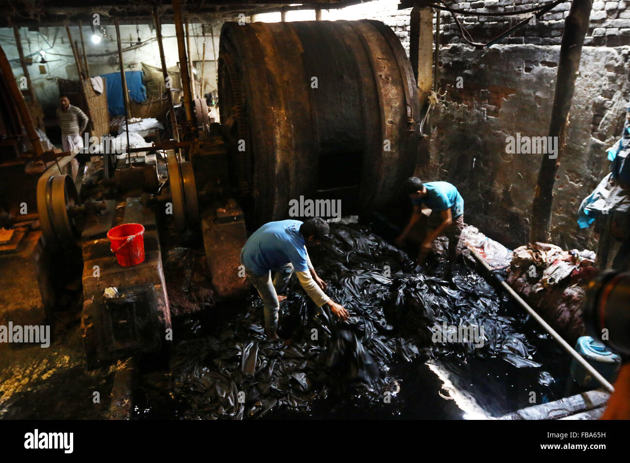 Dhaka 13 January 2016. Workers process animal skins in a Leather factory in Hazaribagh, Dhaka. Tanneries in the city's Hazaribagh area discharge 30000 square meters of liquid waste everyday. The tanneries discharge the effluents into the river system causing a large area of acid sludge..The Bangladeshi leather industry has earned 980.67 million US dollar from the exports of leather and leather goods in fiscal 2012/2013, according to Bangladesh's Export Promotion Bureau. Stock Photo