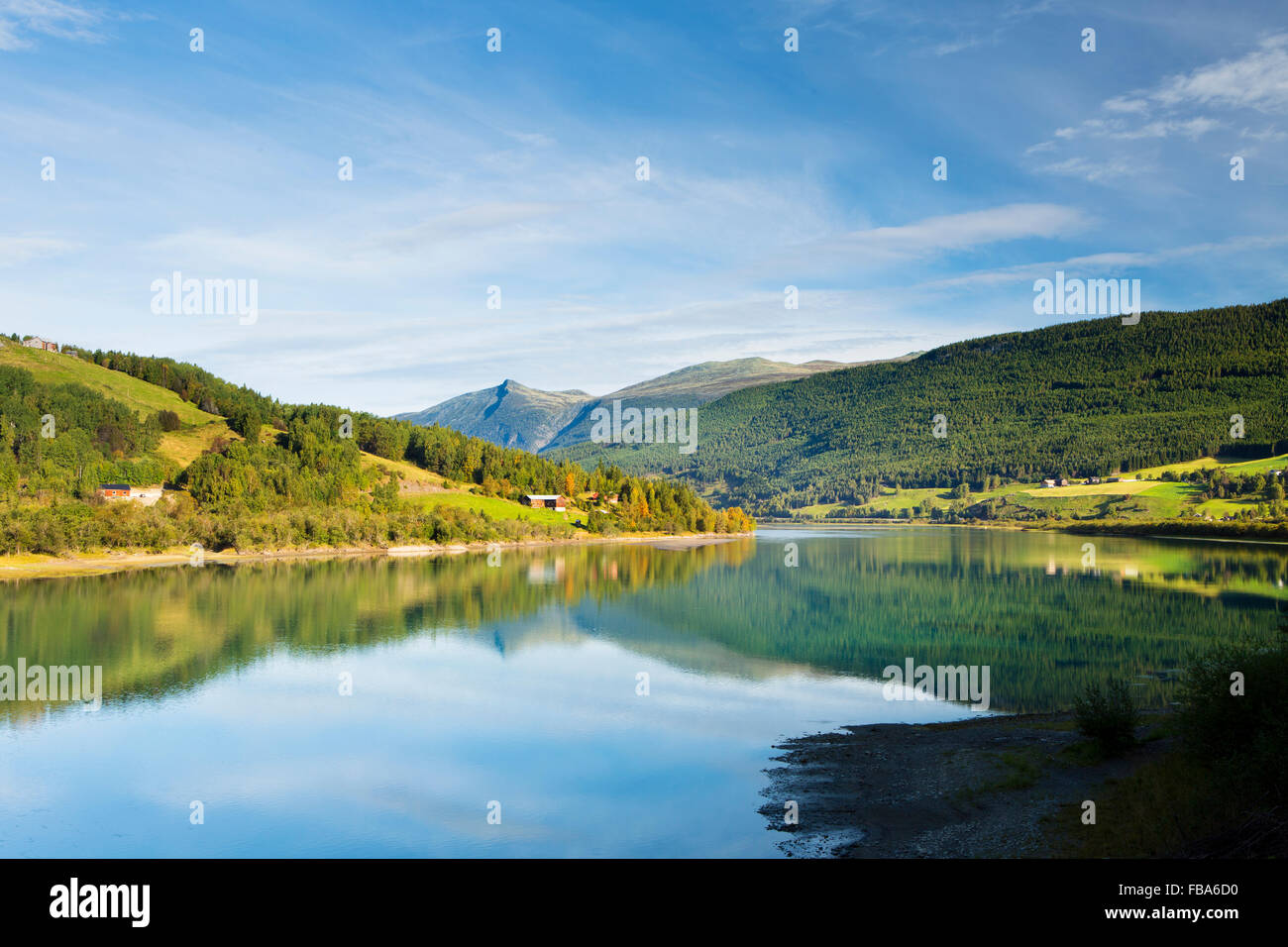 Norway, Gudbrandsdal, Lom, Vagavatnet, Scenic view of lake and forest Stock Photo