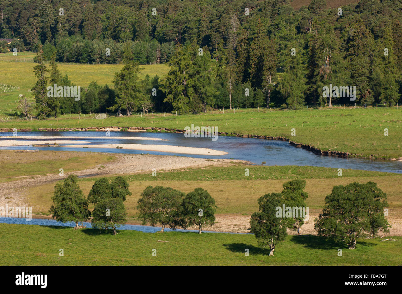 Mar Lodge Estate with the River Dee, near Braemar, Deeside