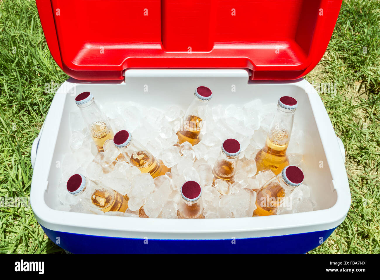 Picnic cooler box with bottles of beer and ice on grass during Australia Day celebration Stock Photo