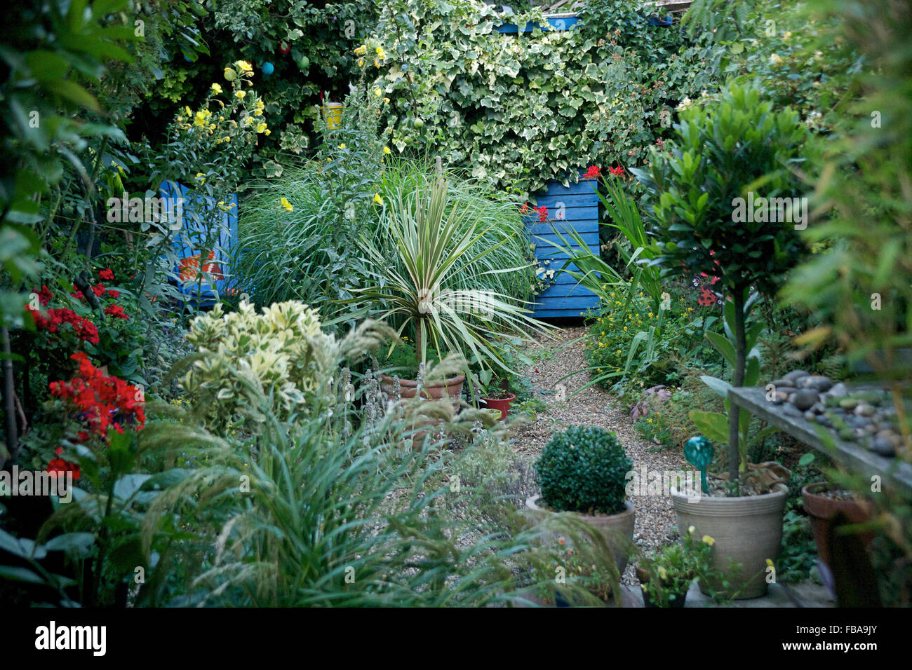 Small garden in London, UK. Designed by Rebecca Erol Stock Photo