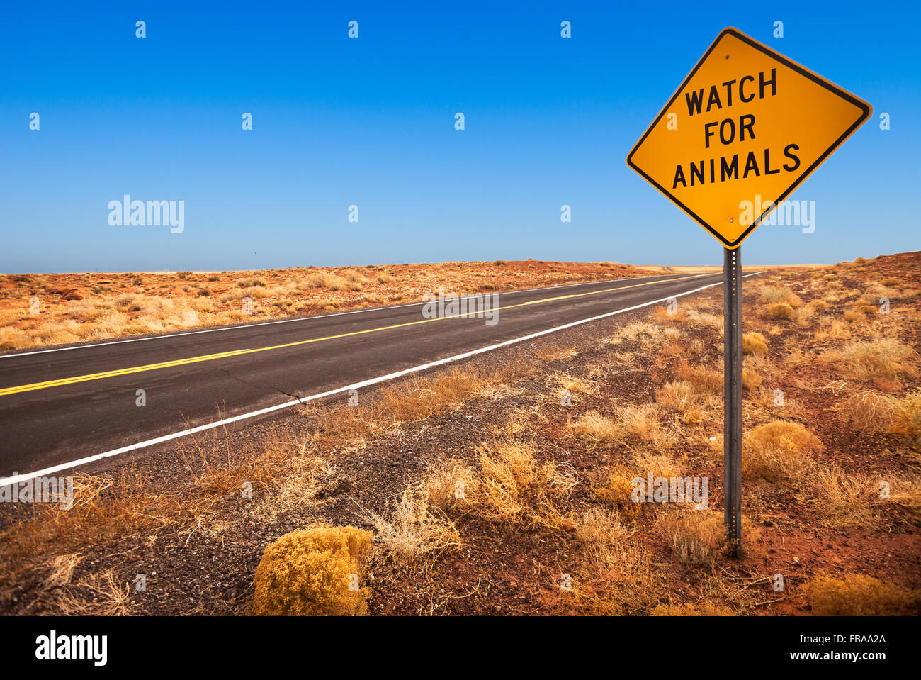 Watch For Animals sign in the Arizona desert Stock Photo