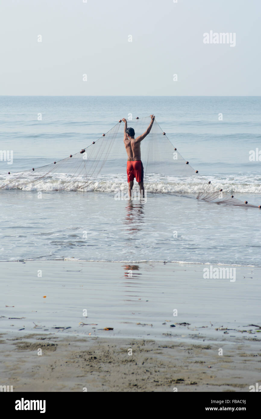 A fishermen hauls in his morning catch of fish in North Goa, India