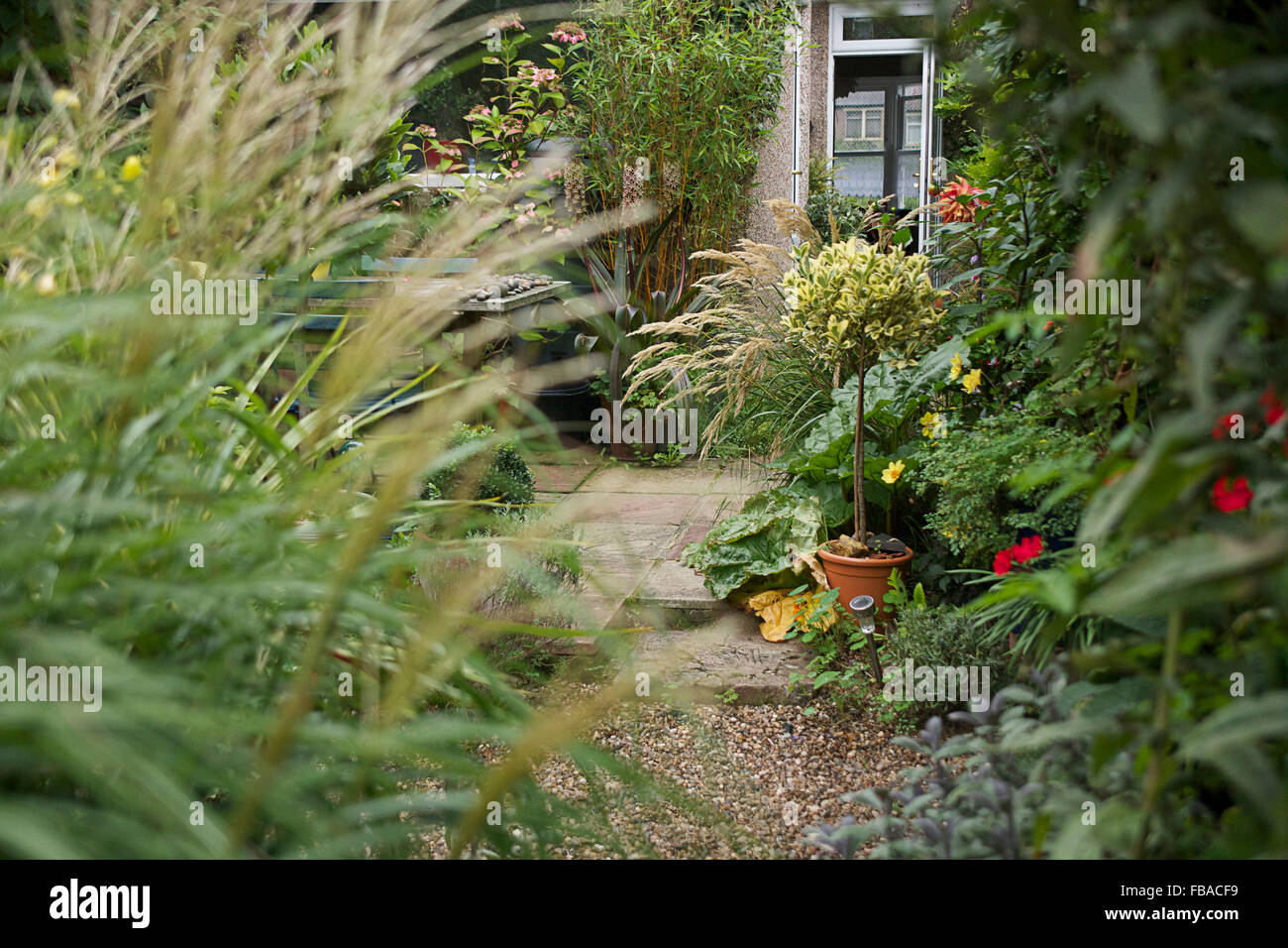 Small London garden, designed by Rebecca Erol Stock Photo