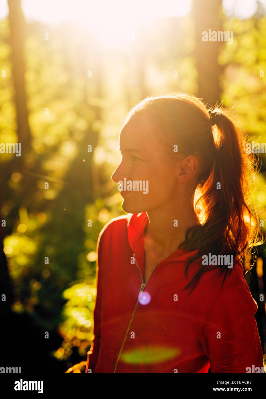 Finland, Paijat-Hame, Heinola, Mid-adult woman in forest Stock Photo
