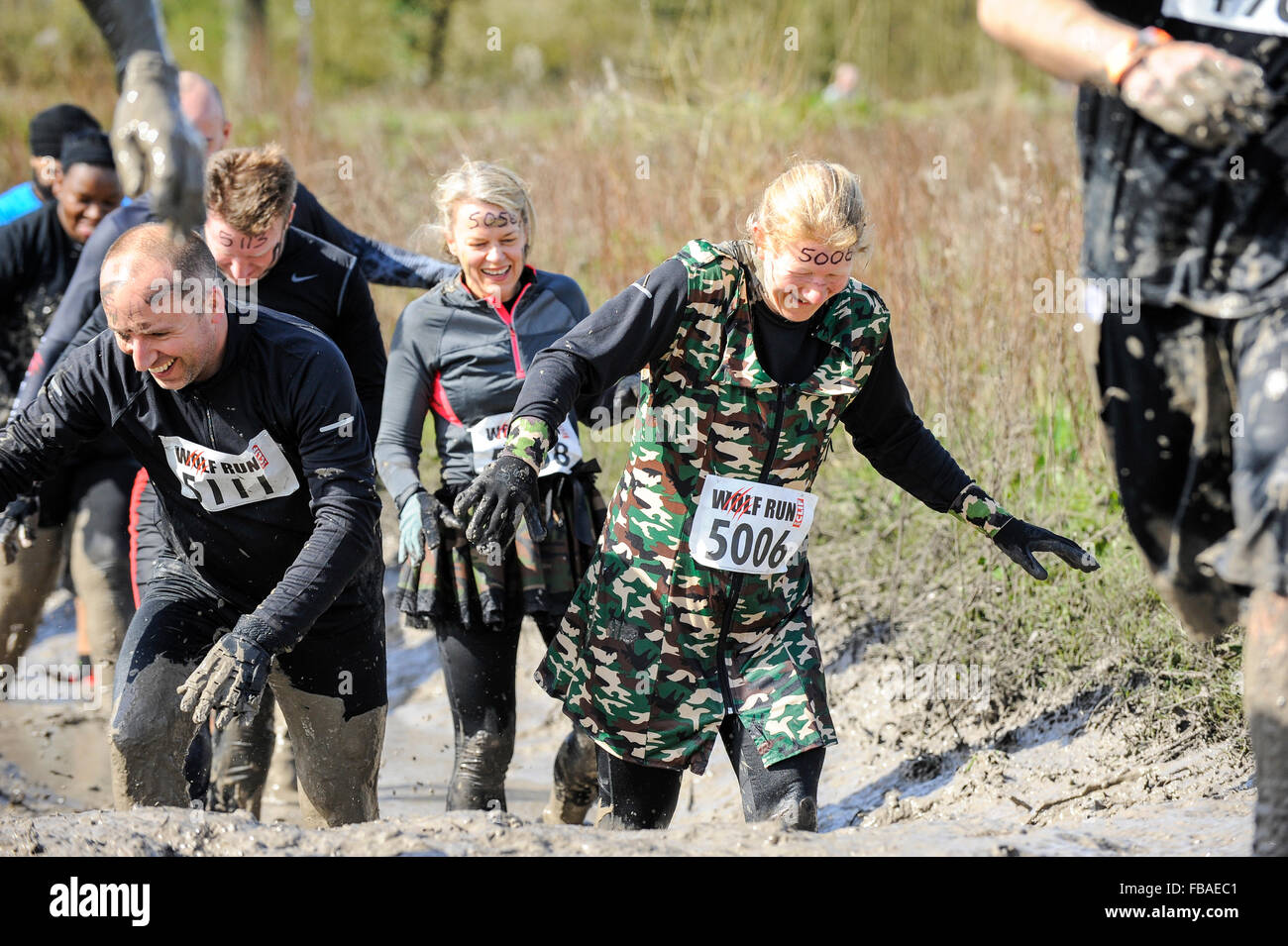 Runners in slippery mud at obstacle course race, UK Stock Photo