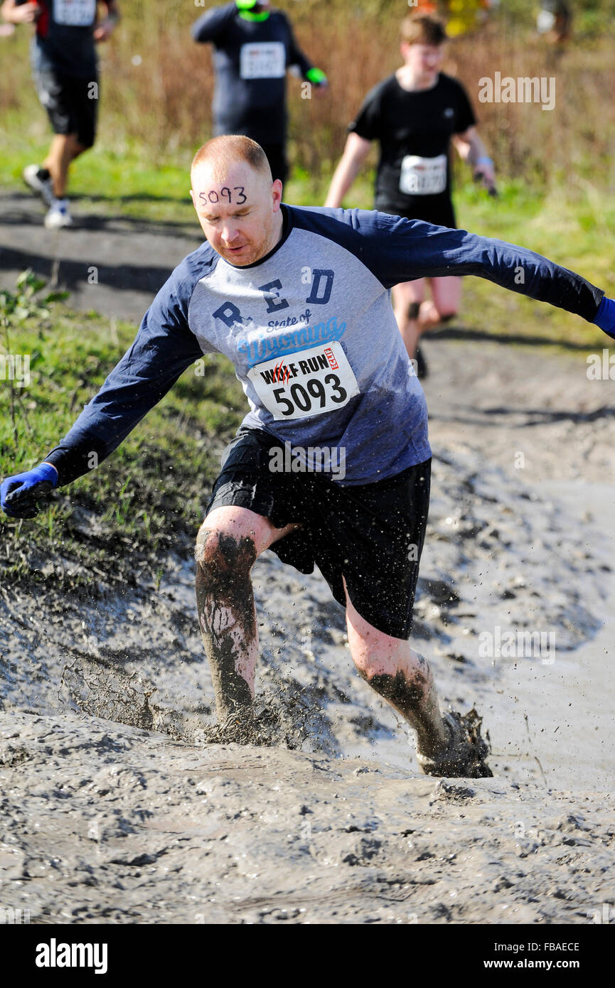 Runners in slippery mud at obstacle course race, UK Stock Photo