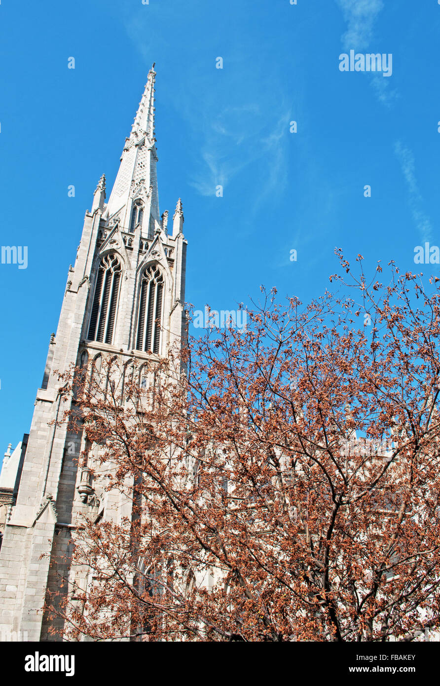 New York, Usa: view of the Cathedral of St. Patrick, a decorated Neo Gothic style Roman Catholic cathedral church on the east side of Fifth Avenue Stock Photo