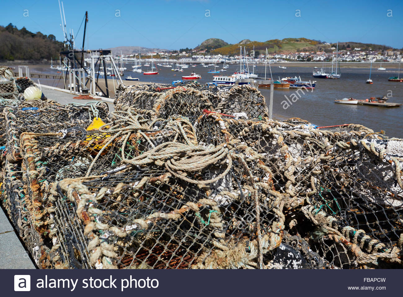 Lobsters fishing crab crabs hires stock photography and images Alamy