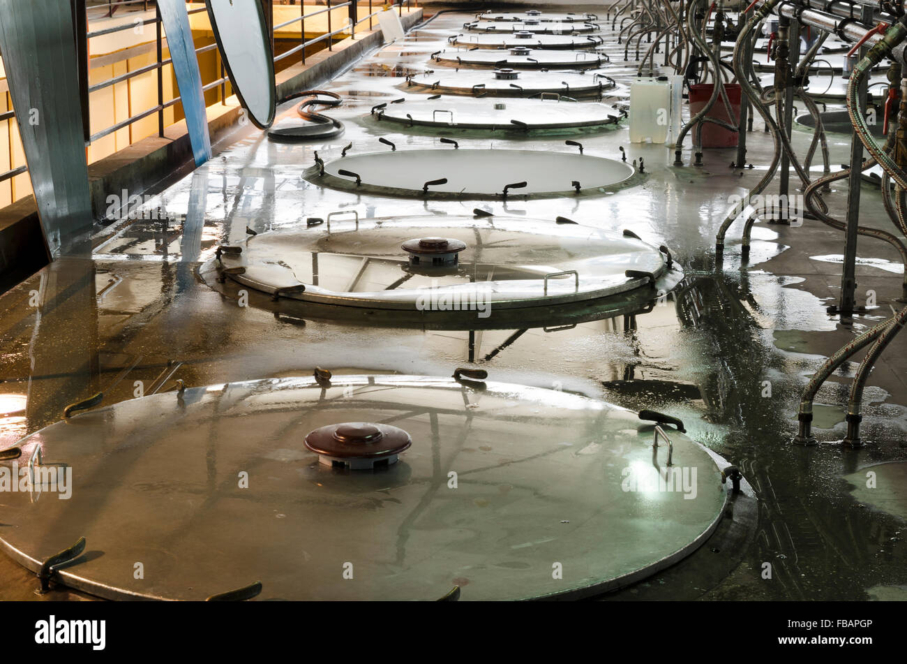 Cleaning of fermentation stainless steel vessels Stock Photo Alamy