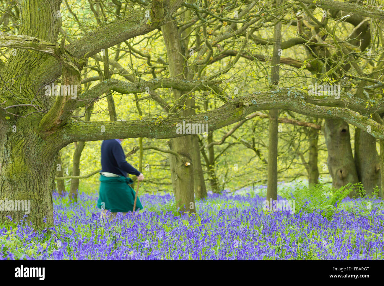 Shinrin Yoku (forest bathing). person walking through woodland with UK