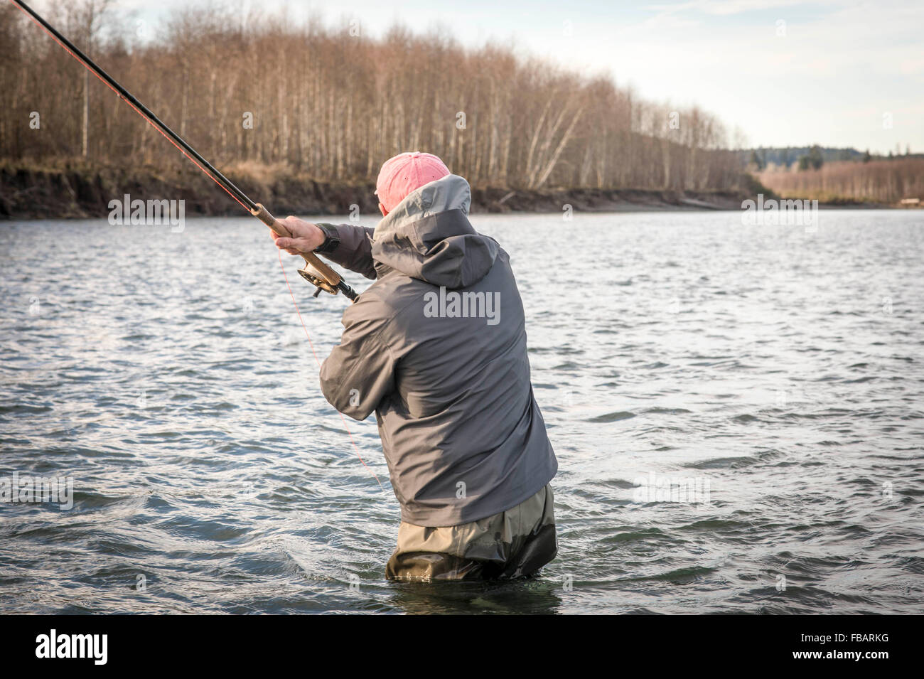Male angler fly fishing in a river on the Olympic Peninsula in