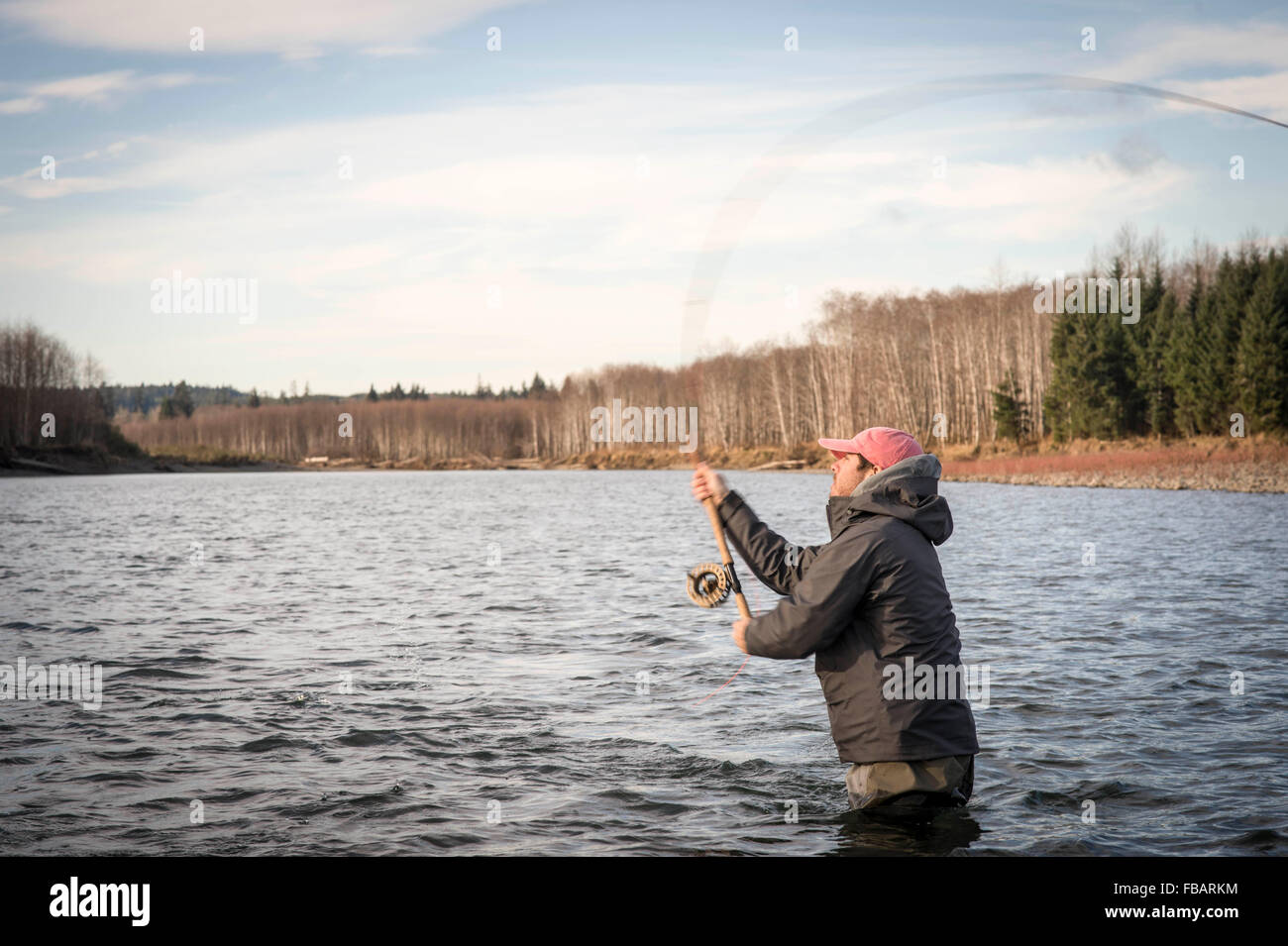 Male angler fly fishing in a river on the Olympic Peninsula in