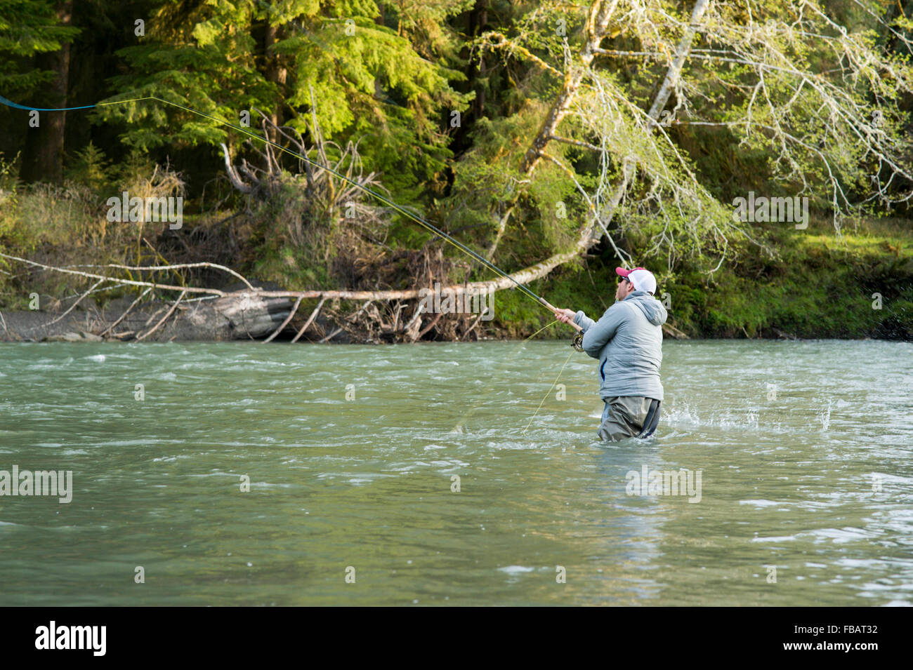 Male angler fly fishing in a river on the Olympic Peninsula in