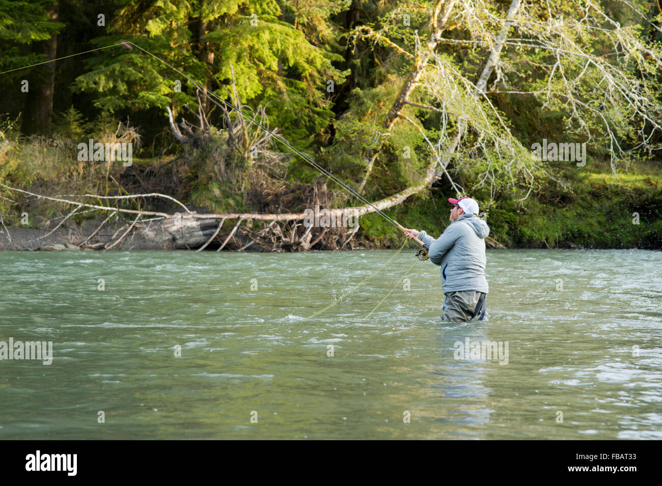Male angler fly fishing in a river on the Olympic Peninsula in